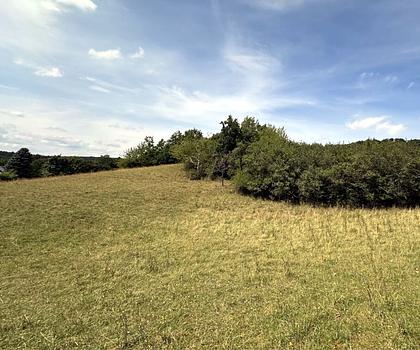 Wiesenfläche mit Baumbestand und guter Zufahrtsmöglichkeit in Bamberg/Wildensorg