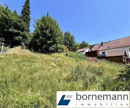 Idyllische Hanglage mit schönem Ausblick! Baugrundstück!