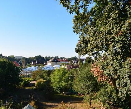 Oben Wohnen ... mit herrlicher Aussicht ...
Großzügige Dachgeschosswohnung mit Loggia