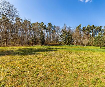 HEGERICH: Grundstück mit Bauvorbescheid und unverbaubarer Waldrandlage!