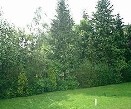 Kapitalanlage oder Eigenbezug ... 
Einzimmer-Apartment im gepflegten Zustand