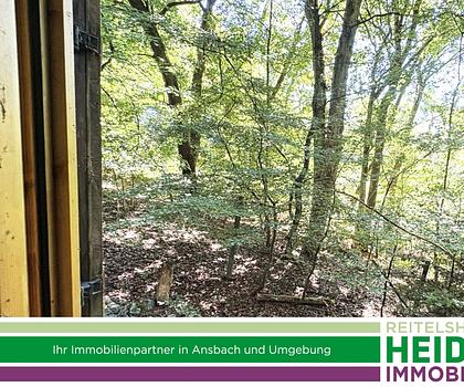 Wochenendgrundstück mit Waldbestand und kleinem Wochenendhaus