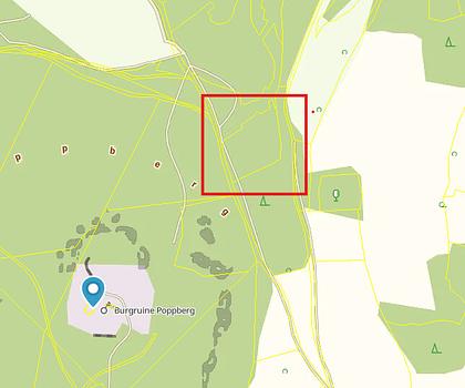 Forstwirtschaftsfläche bei Poppberg