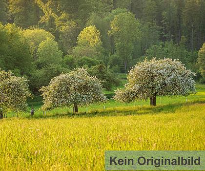 Landwirtschaftliche Nutzflächen in Wiesenttal/Muggendorf