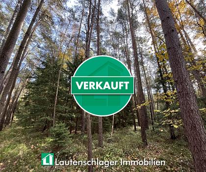 Kleines Hobby-Wäldchen bei Neumarkt
Berg - Loderbach