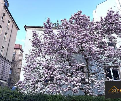 IN DIESER WOHNUNG LEBEN SIE AUF 170 QM