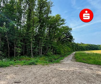 Waldgrundstück bei Altdorf-Ziegelhütte