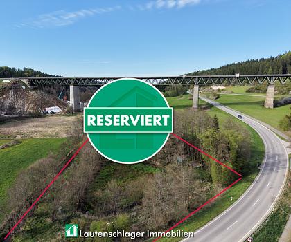 Petri Heil!
Anglerparadies im Dornröschenschlaf
 - bei Deining